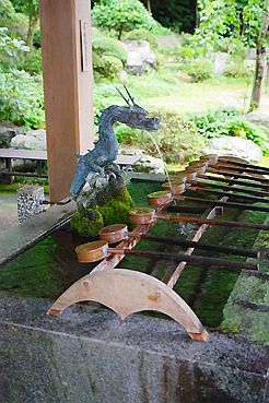 埼玉　神社結婚式　高麗神社　家族　２人　食事会の開き方