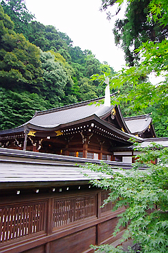 埼玉　神社結婚式　高麗神社　家族　２人　食事会の開き方