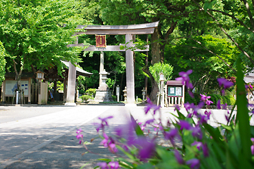 埼玉　神社結婚式　高麗神社　家族　２人　食事会の開き方