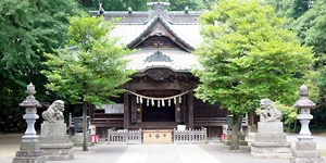 �a���˂��Ɓ@��ʌ��@���{�s�@�ʕ~�_�Ё@�������@�Q�l�����@�Ƒ������@�g�������@�t�H�g�E�G�f�B���O�@�����̂݁@��p