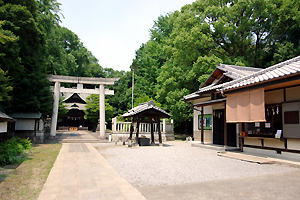 �a���˂��Ɓ@��ʌ��@���{�s�@�ʕ~�_�Ё@�������@�Q�l�����@�Ƒ������@�g�������@�t�H�g�E�G�f�B���O�@�����̂݁@��p