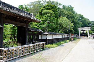 �a���˂��Ɓ@��ʌ��@���{�s�@�ʕ~�_�Ё@�������@�Q�l�����@�Ƒ������@�g�������@�t�H�g�E�G�f�B���O�@�����̂݁@��p