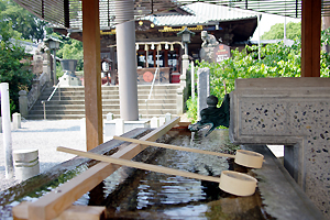 �a���˂��Ɓ@�Q�n���@�W�y�S�@���d�_�Ё@�������@�t�H�g�E�G�f�B���O�@�����̂݁@��p�Q�l�����@�g�������@�ʐ^�����@��p