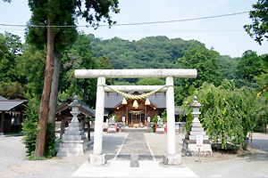 �a���˂��Ɓ@�Q�n���@�݂ǂ�s�@�_���{�@�������@�t�H�g�E�G�f�B���O�@�Q�l�����@�Ƒ������@�g�������@�ʐ^�����@DIY�H����@�����̂݁@��p