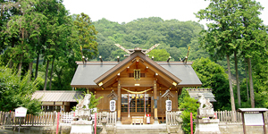 �a���˂��Ɓ@�Q�n���@�݂ǂ�s�@�_���{�@�������@�t�H�g�E�G�f�B���O�@�Q�l�����@�Ƒ������@�g�������@�ʐ^�����@DIY�H����@�����̂݁@��p