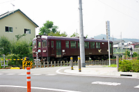 �a���˂��Ɓ@�_�Ђœ�l�����̌������@�����̂݁@�����C�@�o�����t���v�����@�Q�n���@�݂ǂ�s�@�_���{