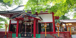 �a���˂��Ɓ@�Q�n���@�݂ǂ�s�@�M�D�_�Ё@�������@�t�H�g�E�G�f�B���O�@�����̂݁@��p