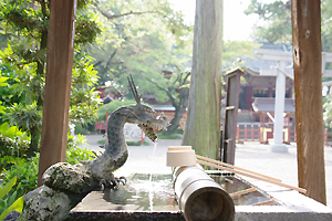 �a���˂��Ɓ@�Q�n���@���c�s�@���Ǔc���Ƌ{�@�������@�t�H�g�E�G�f�B���O�@�����̂݁@��p