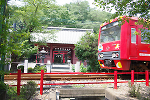 �Q�n���@����s�@�R�������{�@�������@�t�H�g�E�G�f�B���O�@�����̂݁@��p�@�Q�l�����@�Ƒ������@�g�������@DIY�H����