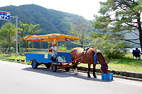 �a���˂��Ɓ@�_�Ђœ�l�����̌������@�����̂݁@�����C�@�o�����t���v�����@�Q�n���@�a��s�@�ɍ��ۉ���@�Y���_��