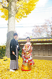 埼玉県　高麗神社　和装　挙式のみ結婚式　
