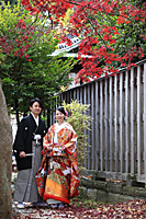 �����̂� ��ʌ��@���_�Ё@�������@�a���˂��Ɓ@�Ƒ������@���l���@�E�G�f�B���O�@DIY�H����