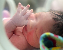 赤ちゃん　お宮参り　100日祝い　７５３　出張撮影　群馬　栃木　埼玉　