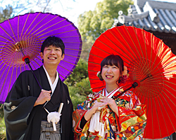 �Ԃ����@���{�Q��@100���j���@�V�T�R�@�o���B�e�@�Q�n�@�Ȗ؁@��ʁ@�΂�Ȏ��@�����w�Z